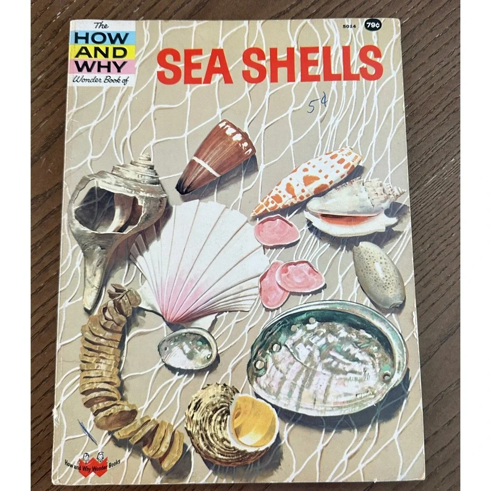 Vintage How & Why Wonder Book of Sea Shells Softcover Retro Nature Illustration
